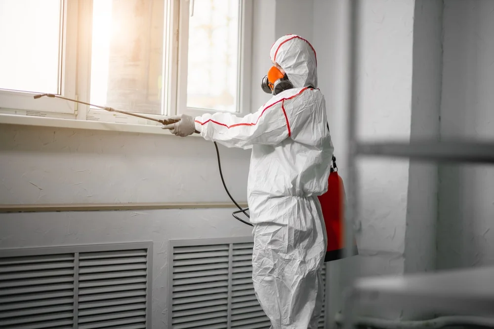 Professional mold remediation services in Waco, GA